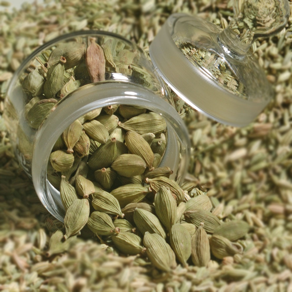 CARDAMOM